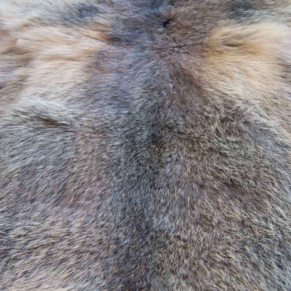 Naturkonkret Pelliccia di Marmotta