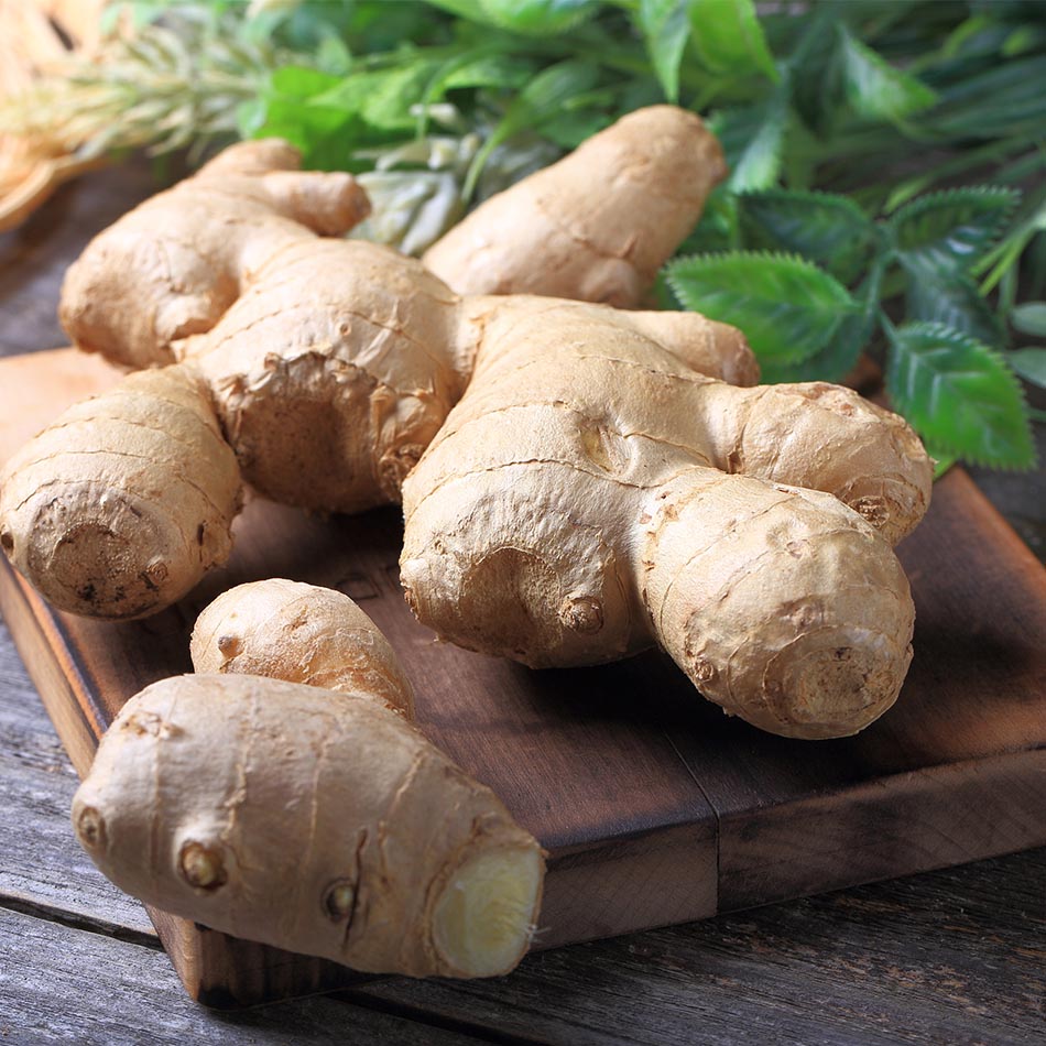 Ingwer Natur Konkret - Onlineshop Ingwer