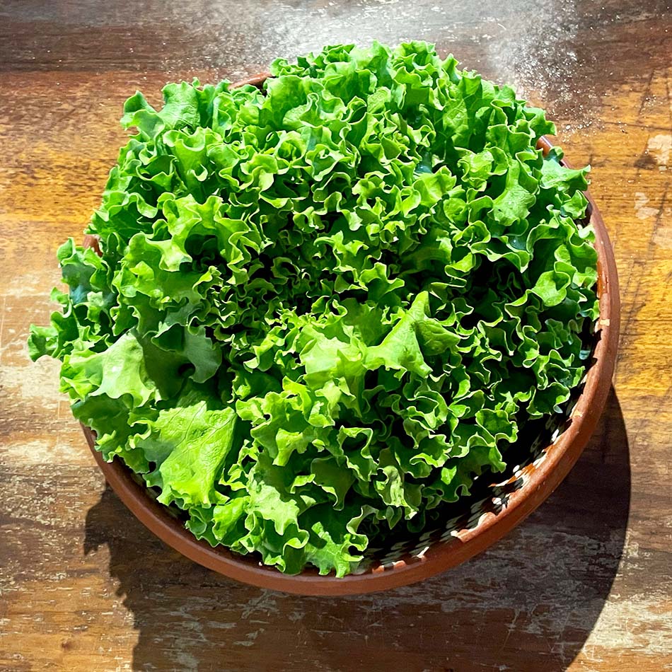 Natur Konkret - Onlineshop Batavia verde