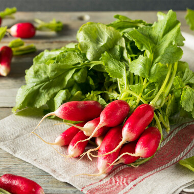 Natur Konkret - Onlineshop Radieschen rot-weiss