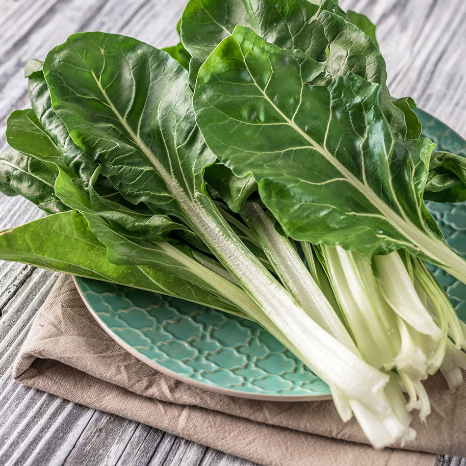 Mangold grün Mangold grün