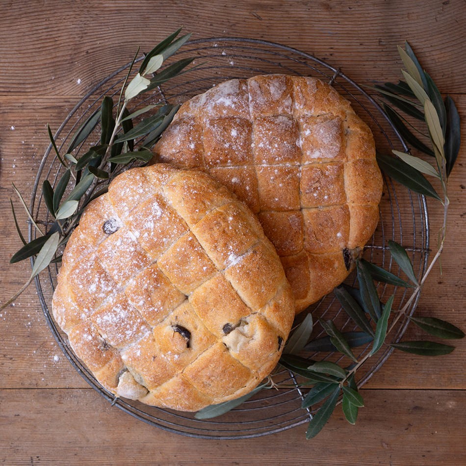 Pane al farro Natur Konkret - Onlineshop Pane al farro