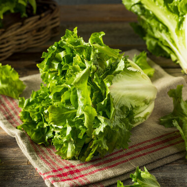 Natur Konkret - Onlineshop Endivie