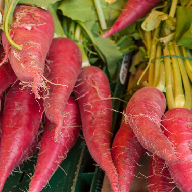 Natur Konkret - Onlineshop Rettich pink