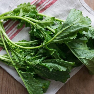 Cima di Rapa - Stängelkohl