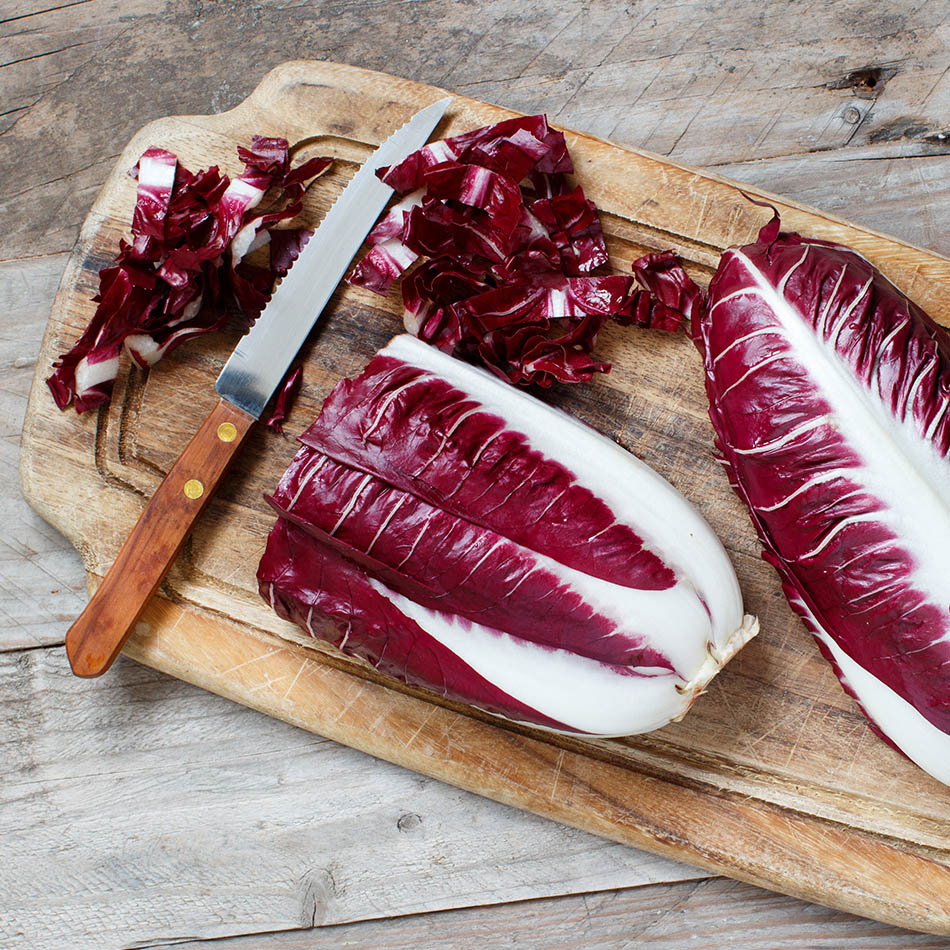 Cicorino Rosso Trevisana