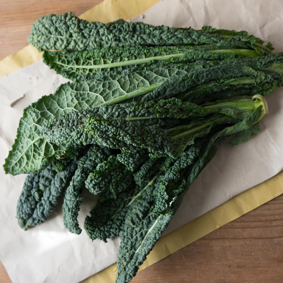 Cavolo nero di Toscana - Palmkohl