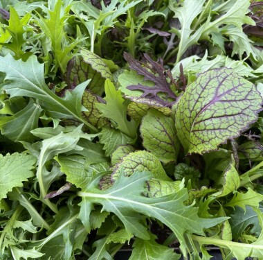 Asia Mix Natur Konkret - Onlineshop Asia Mix