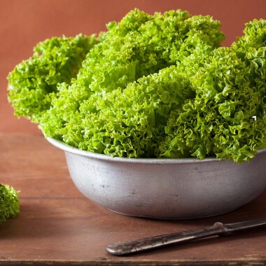 Natur Konkret - Onlineshop Lollo verde