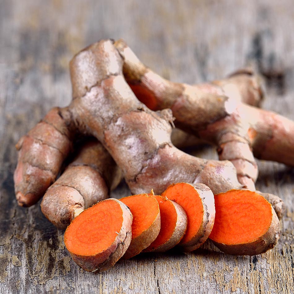 Curcuma