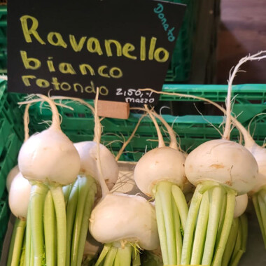 Natur Konkret - Onlineshop Radieschen rot-weiss