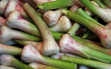 Natur Konkret - Onlineshop Knoblauch frisch