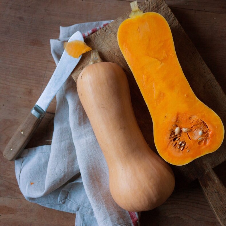 Kürbis Butternut
