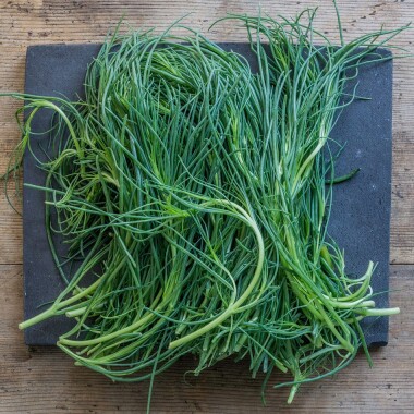 Natur Konkret - Onlineshop Barba di frate - Mönchsbart