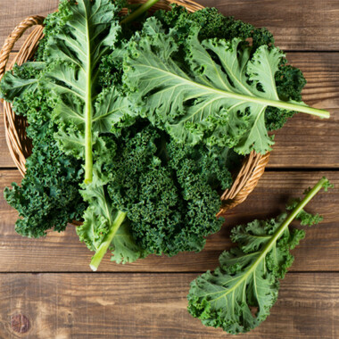 Natur Konkret - Onlineshop Federkohl (Cavolo piuma)