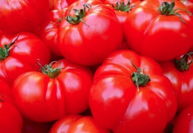 Natur Konkret - Onlineshop Tomaten Marmande