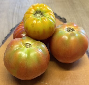 Natur Konkret - Onlineshop Tomaten Marmande