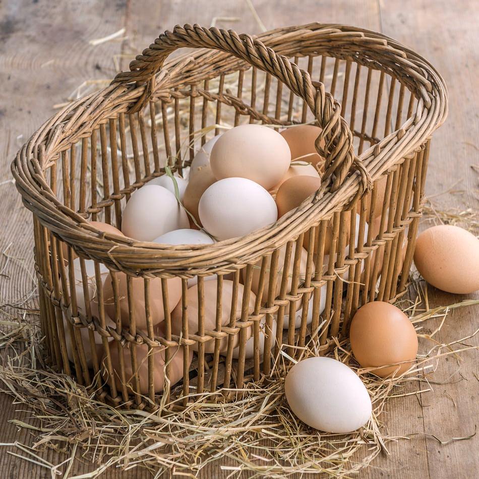 Uova di gallina ruspante
