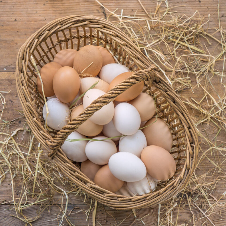 Eier vom Wiesenhuhn
