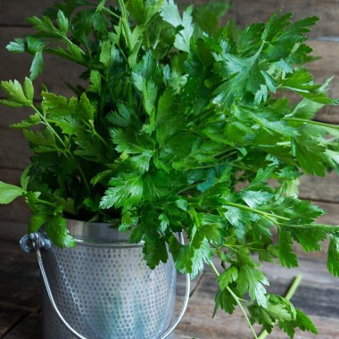 Natur Konkret - Onlineshop Peterli glatt