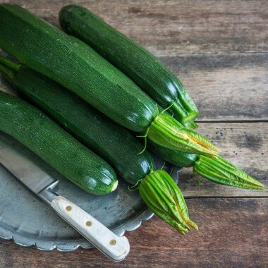 Natur Konkret - Onlineshop Zucchini