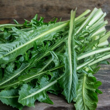 Natur Konkret - Onlineshop Catalogna