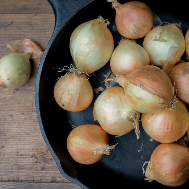Natur Konkret - Onlineshop Zwiebeln