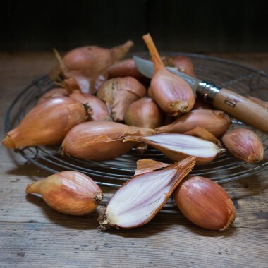 Natur Konkret - Onlineshop Schalotten