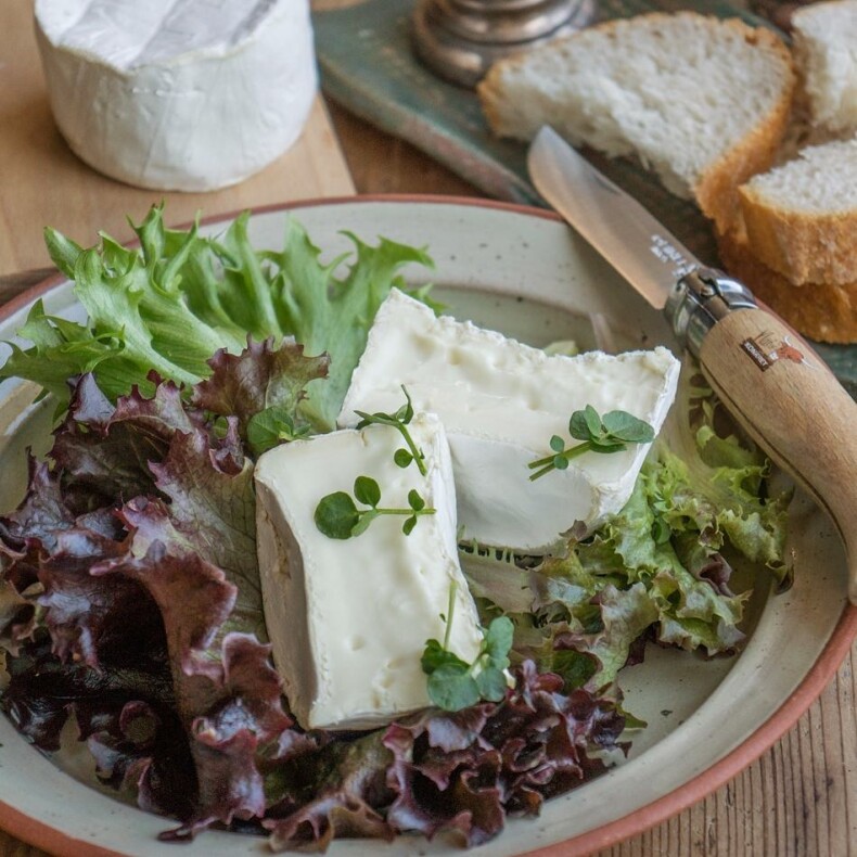 Bio Büffel-Camembert