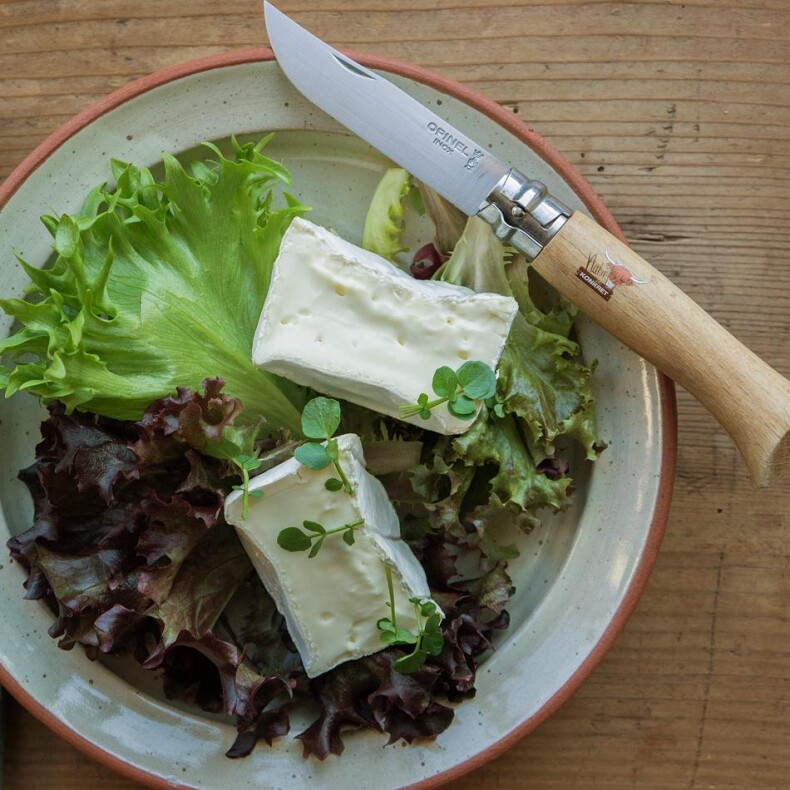 Bio Büffel-Camembert