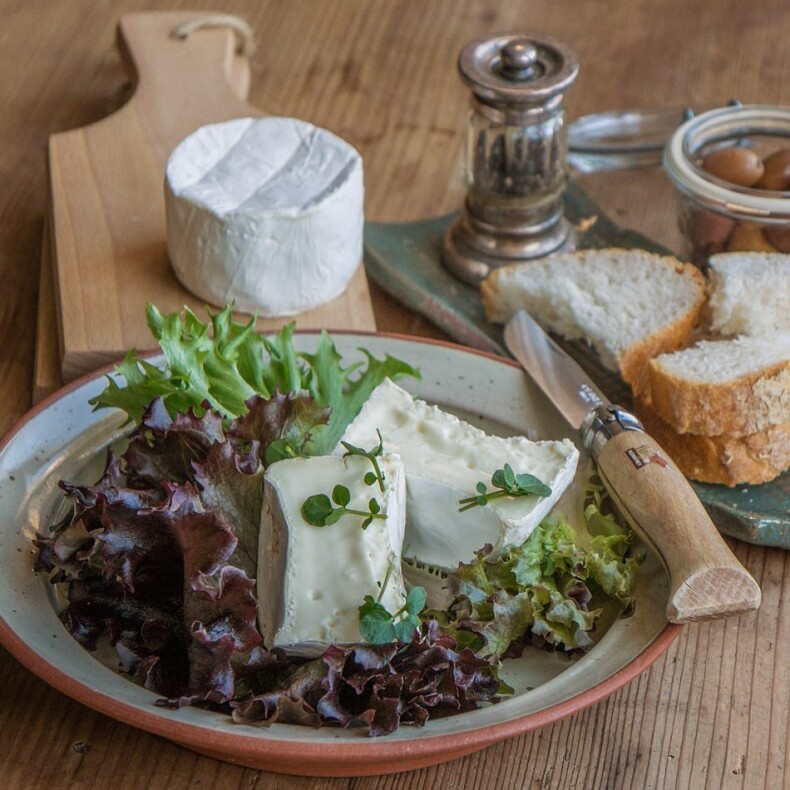 Bio Büffel-Camembert