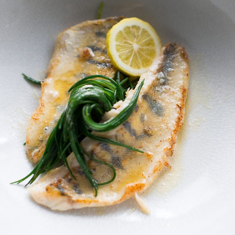 Zander-Filet