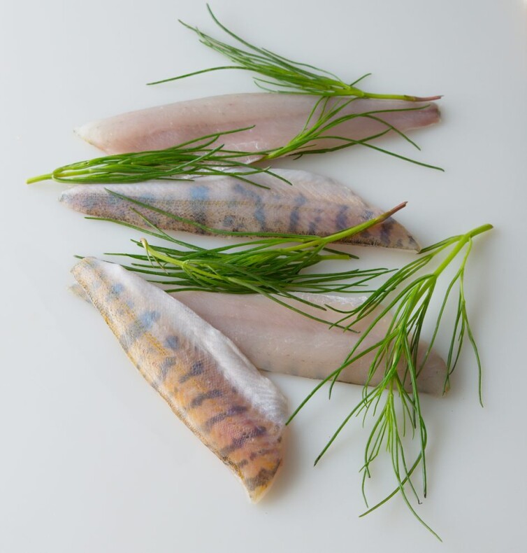 Zander-Filet