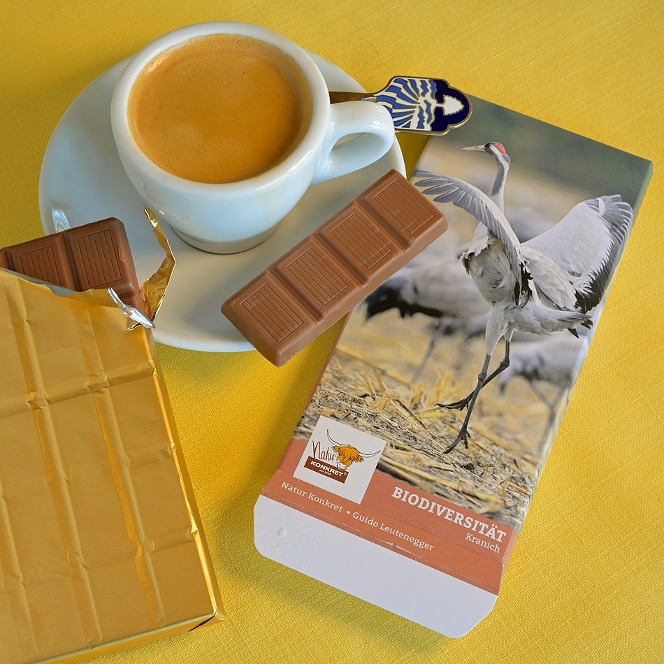 Cioccolato al latte