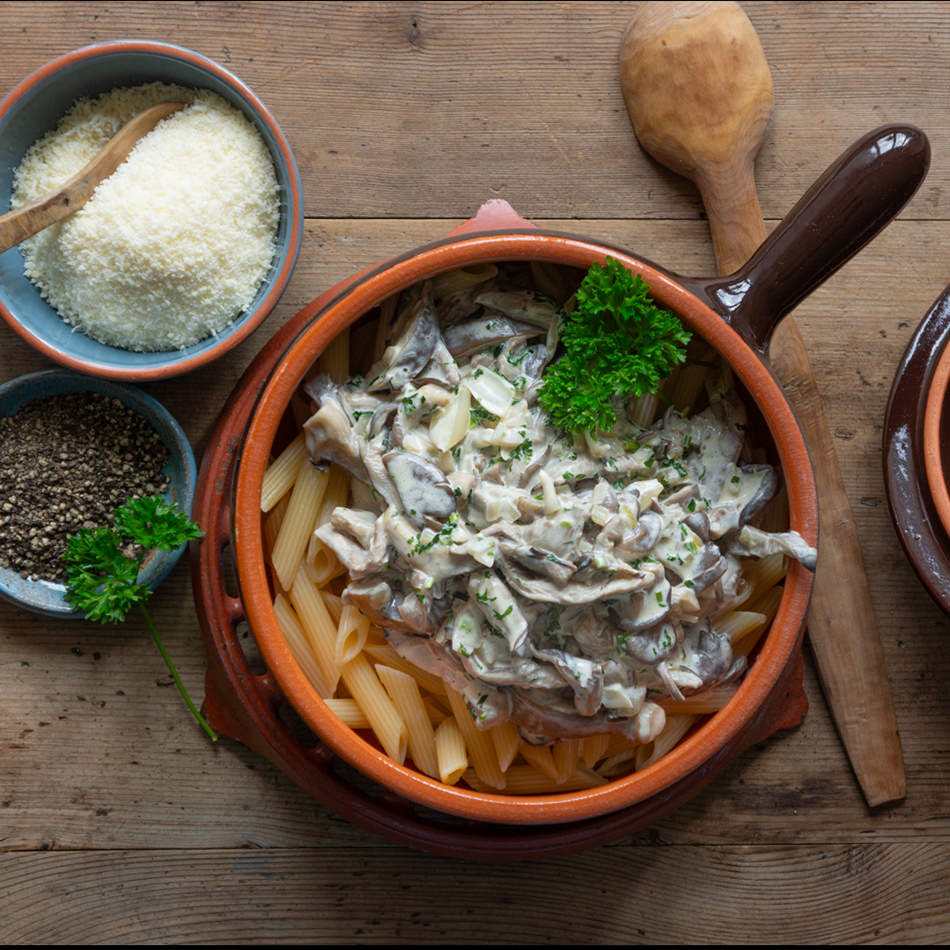 Austernseitling Natur Konkret - Onlineshop Austernseitling