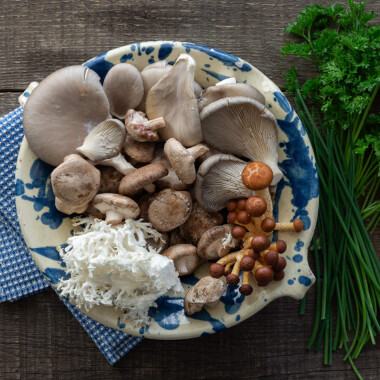 Edelpilz Mischung Natur Konkret - Onlineshop Edelpilz Mischung