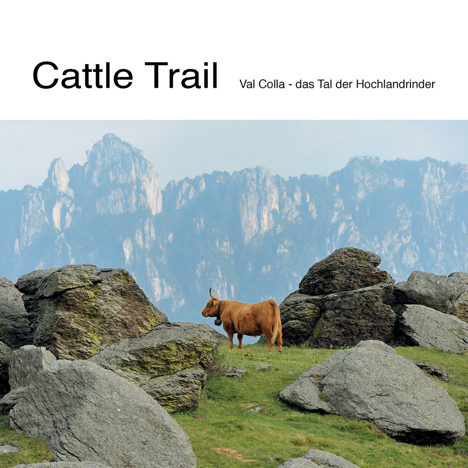 Cattle Trail - Val Colla