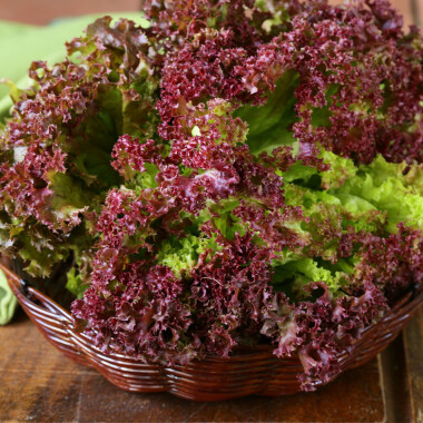 Natur Konkret - Onlineshop Lollo rosso