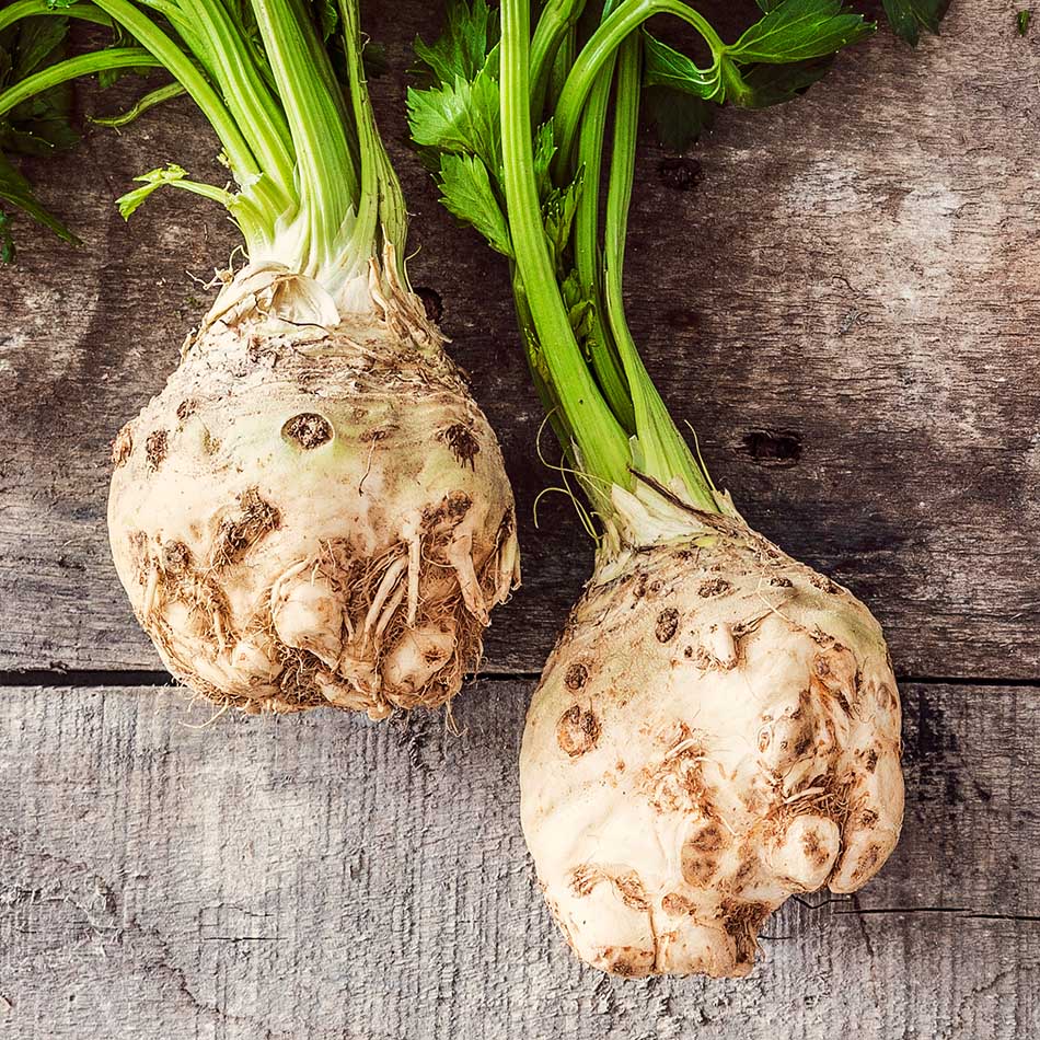 Natur Konkret - Onlineshop Sedano rapa