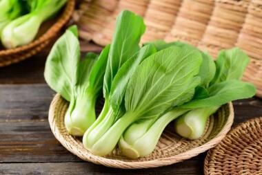 Pak-Choi