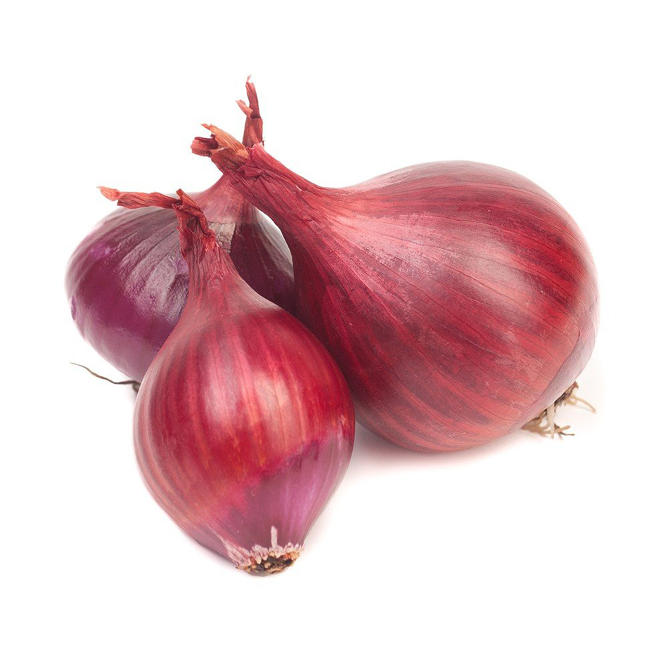 Zwiebeln rot Zwiebeln rot