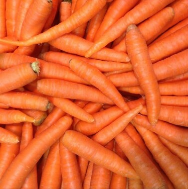 Rüebli (Karotten) Natur Konkret - Onlineshop Rüebli (Karotten)