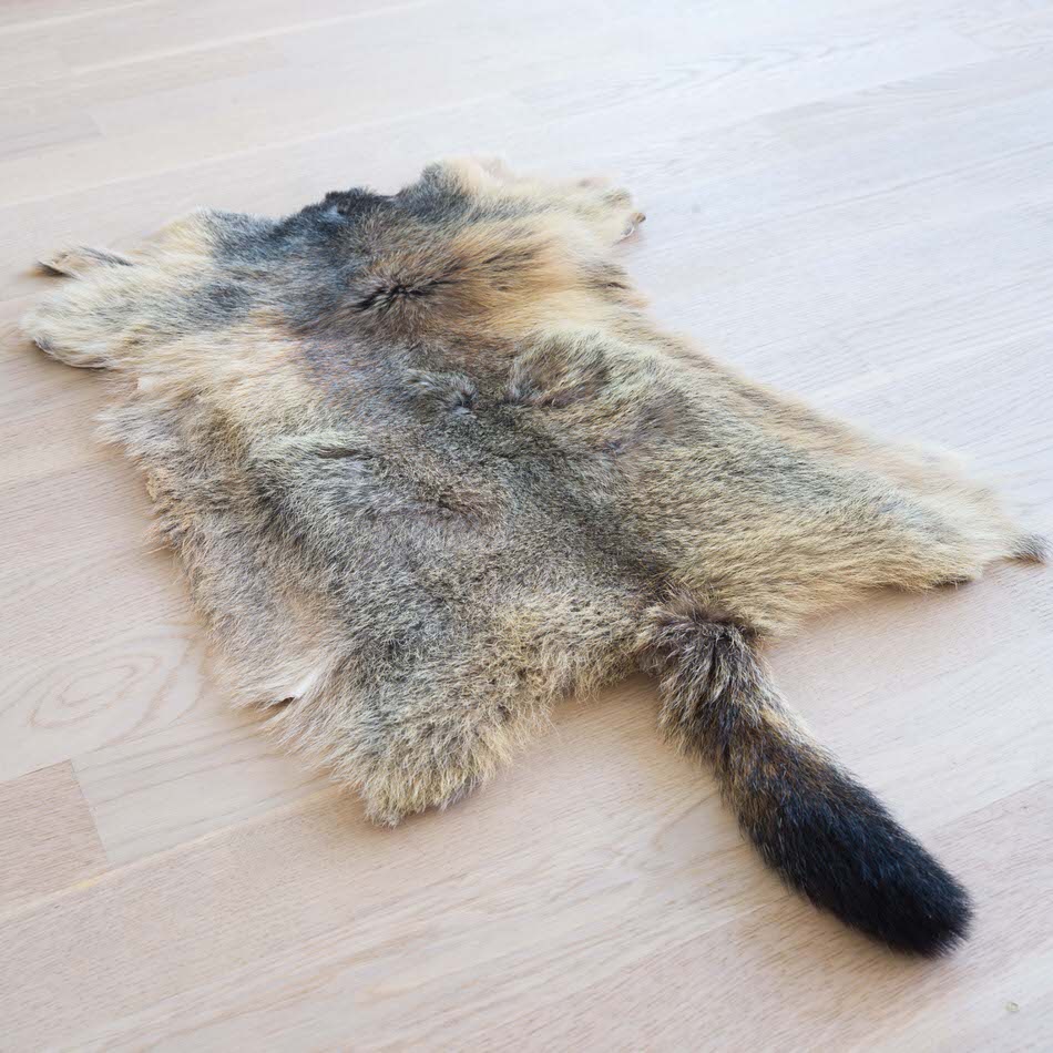 Pelliccia di Marmotta