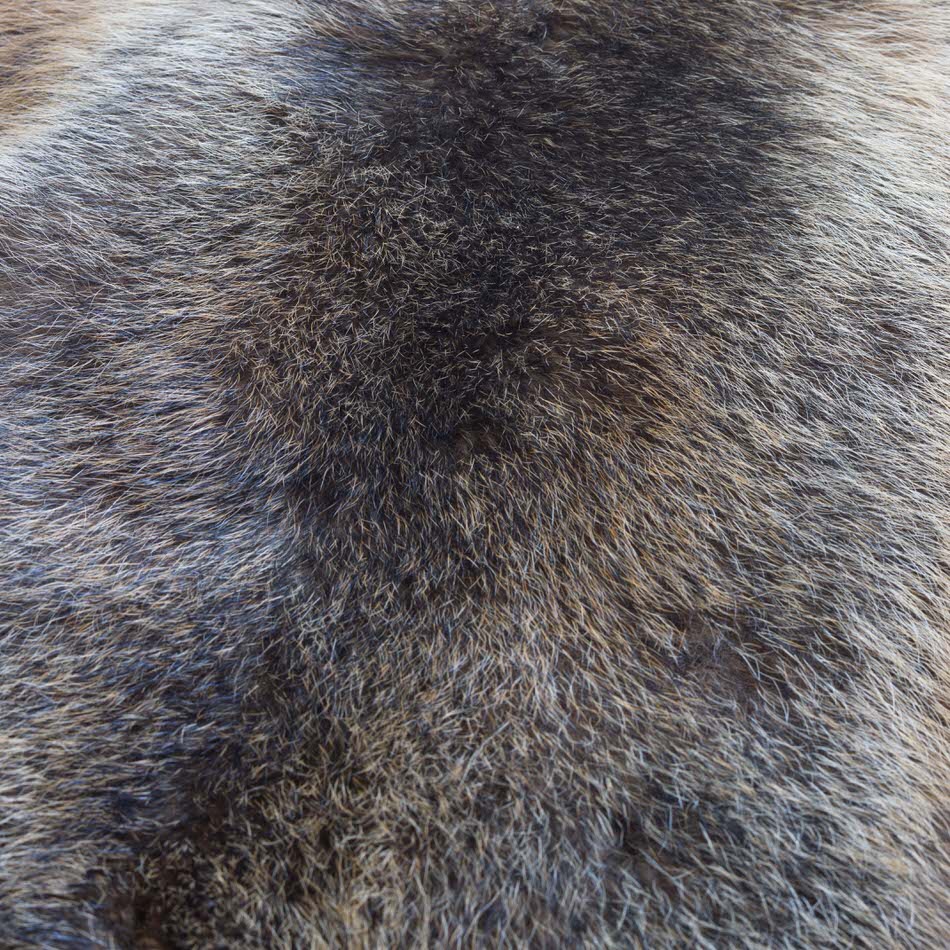 Marmotta-Fell Marmotta-Fell