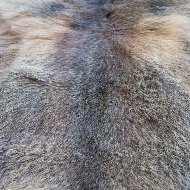 Marmotta-Fell