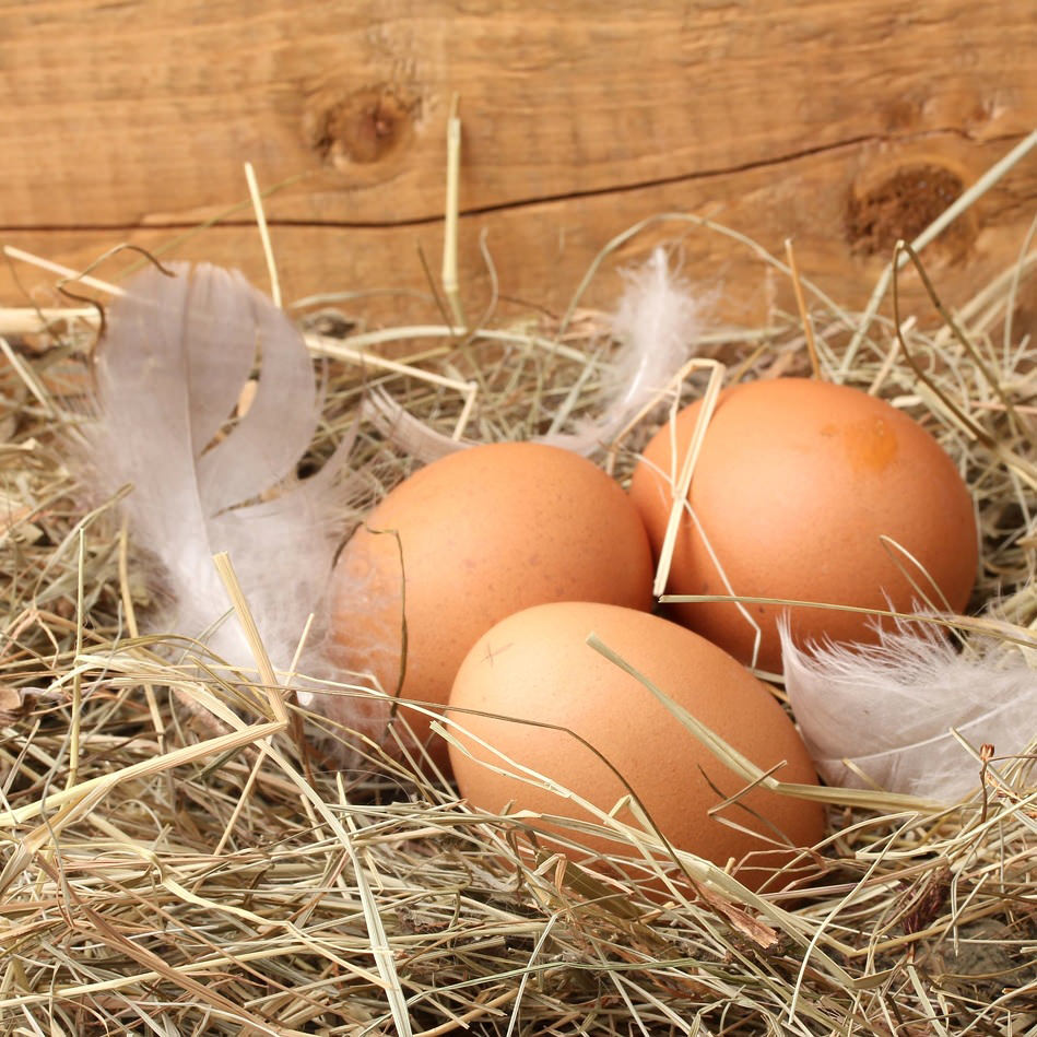 Polpettone ticinese Polpettone ticinese